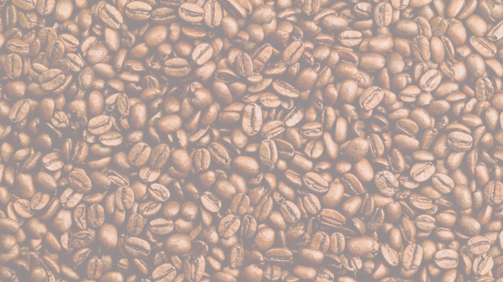 Medium roast website copy Brazil Santos Dark Roast